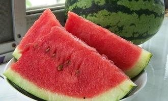 吃瓜比赛作文500,一场舌尖上的吃瓜盛宴