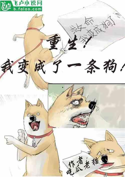 猫咪吃瓜视频大全,萌态百出！视频大全集锦