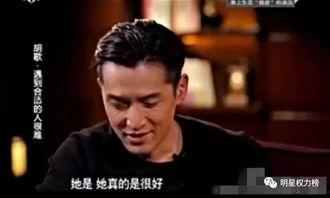 吃瓜胡歌老婆,吃瓜群众眼中的贤妻良母