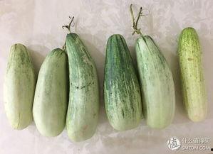 吃瓜的有趣经历,一场吃瓜者的趣味冒险之旅