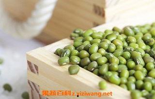 夏天吃的绿豆瓜,绿豆瓜的清爽魅力