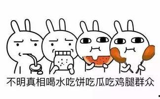 人人都在吃瓜人人都是瓜,揭秘“人人吃瓜，人人是瓜”的社交现象