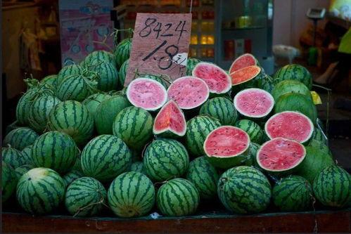 人类吃瓜的历史,人类吃瓜历史的演变与传承