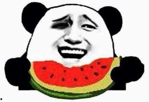 吃瓜群众张导,揭秘娱乐圈幕后风云