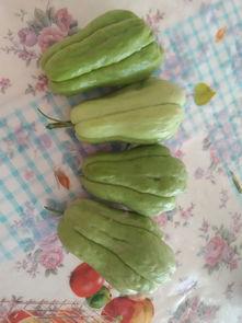 吃瓜大神来了,揭秘娱乐圈幕后真相