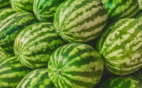 在哪吃宏川的瓜,探寻宏川瓜果美食之旅