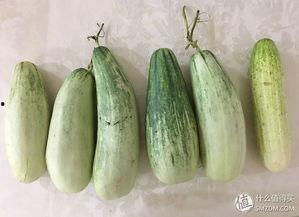 自己的瓜自己吃,揭秘个人行为与后果的紧密联系