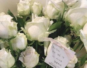 白玫瑰跨区吃瓜,揭秘跨区美食之旅