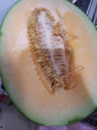 吃哈密瓜冰冻哈密瓜