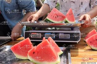 山东外事吃瓜比赛,一场别开生面的国际文化交流盛宴