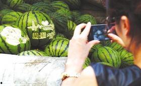 范儿瓜怎么吃,解锁美味新体验