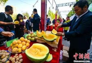 甘肃最新吃瓜事件,真相与争议交织