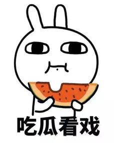 吃瓜柴郡,揭秘网络热词背后的故事与影响