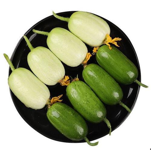 山顶上栽瓜能有瓜吃吗,挑战极限的农业奇观与收获之谜