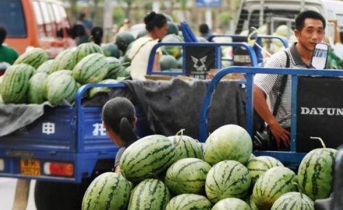 成都交院吃瓜,揭秘校园里的那些事儿