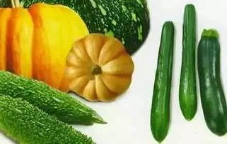 春月吃瓜,探寻传统美食的春日风情