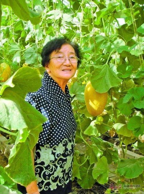 王洁吃瓜,揭秘娱乐圈幕后故事