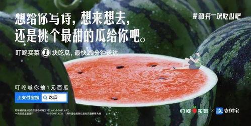 吃瓜能手文案,揭秘娱乐圈幕后真相的神秘力量