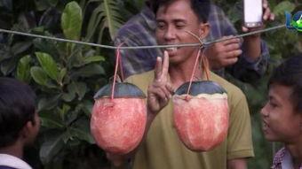 外国女孩吃鸡吃瓜图片大全,外国女孩的“吃鸡”与“吃瓜”瞬间