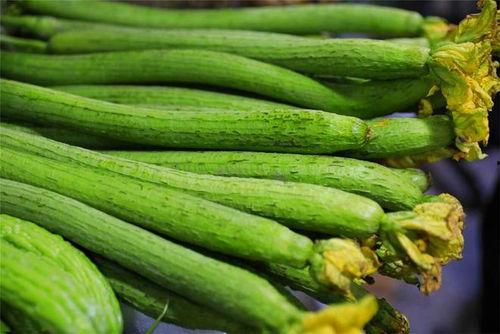 丝瓜 幼瓜 吃,丝瓜幼瓜的采摘与食用技巧
