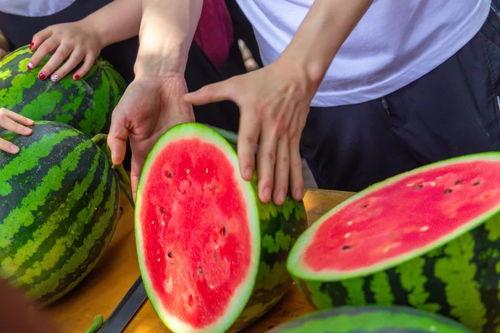 银泰学府吃瓜,揭秘校园里的“吃瓜”风云